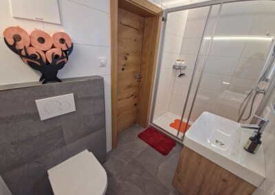 Waschtisch, Dusche und WC im Badezimmer