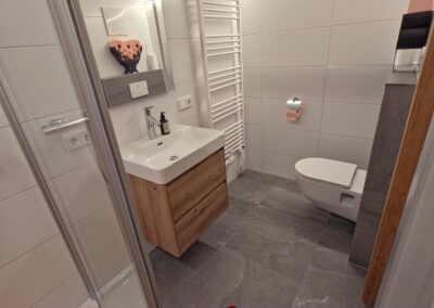 Waschtisch, WC, Dusche und Handtuchtrockner